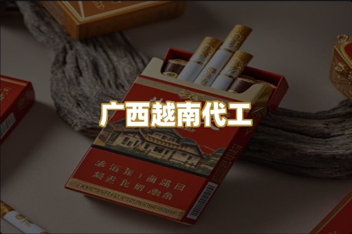广西越南代工